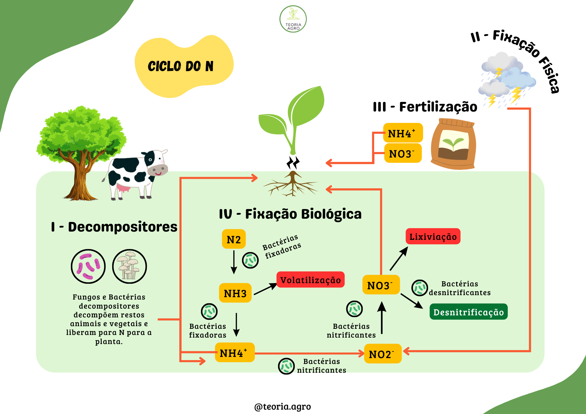 Ciclo do Nitrogênio