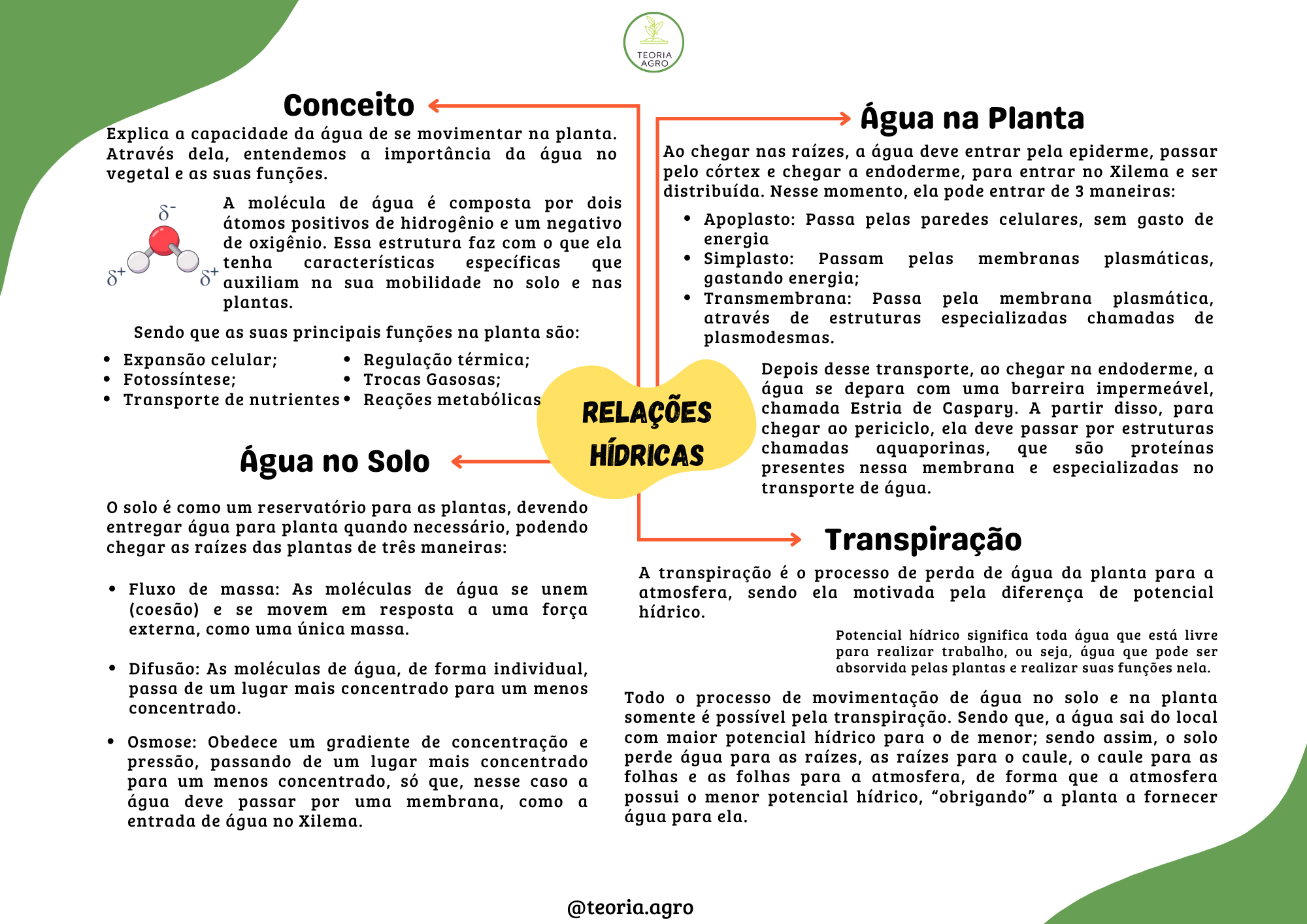 Relações Hídricas