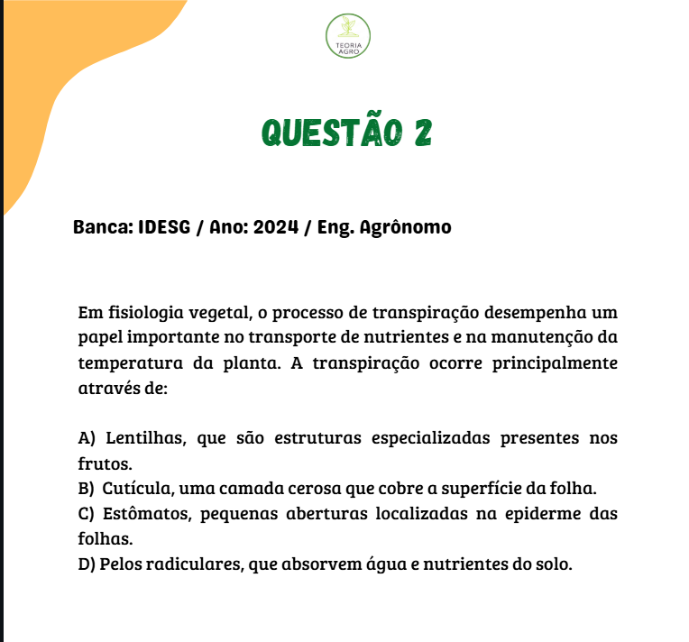 Captura de tela 2025-06-30 231855