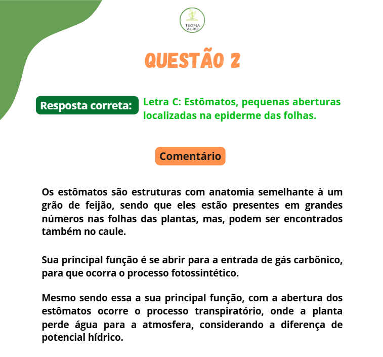 Captura de tela 2025-06-30 231932