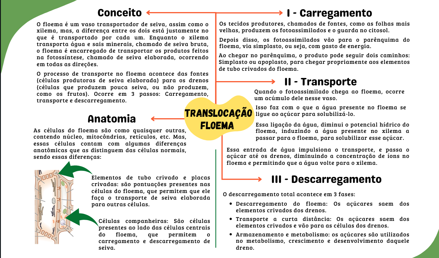 Captura de tela 2025-07-01 090142
