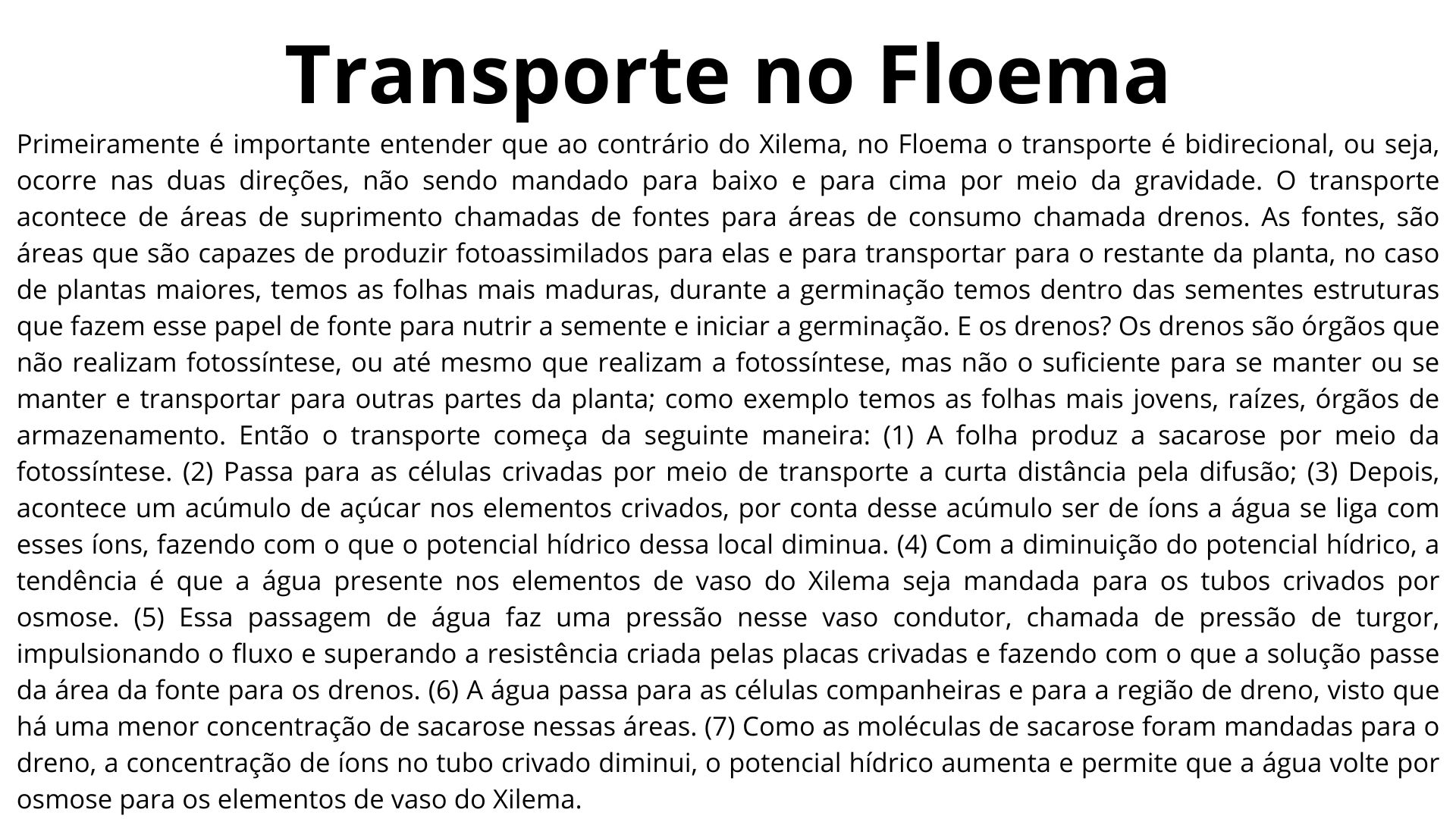 Relações Hídricas (1)